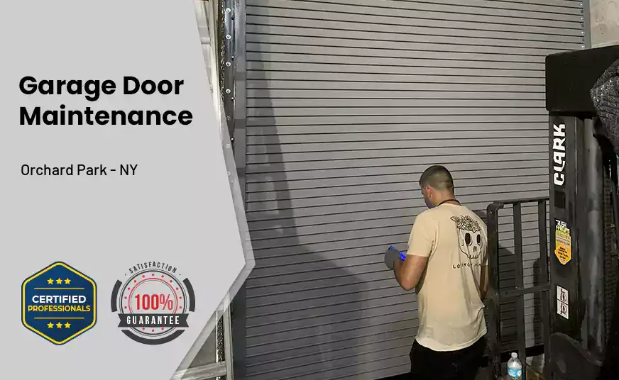 Garage Door Maintenance Orchard Park - NY 